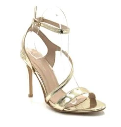 Forever Link Curious-07