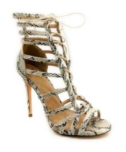 Olivia Jaymes Crissy