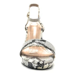 Shoe Republic Tombal -Shoe Store Shoe Republic Tombal Snake 2